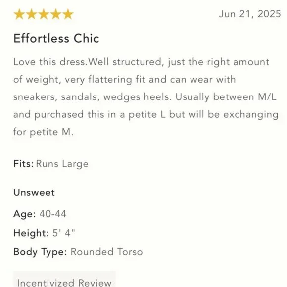 NWT Anthropologie Pilcro Square-Neck Seamed Chambray Midi Dress XS‎ - Picture 4 of 11